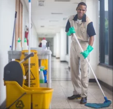 Cleaning Professional